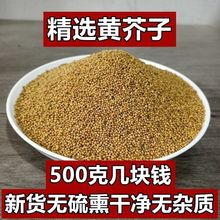 黄芥子500克黄芥末粉 芥末种子芥末籽50克芥菜子辣菜籽