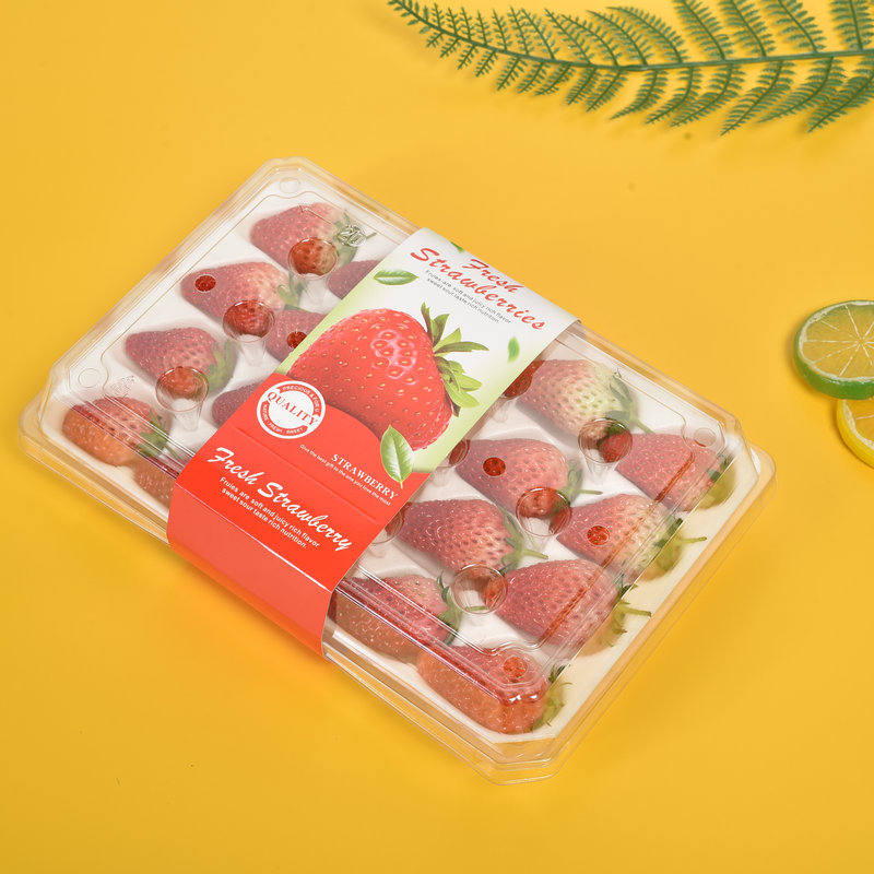 供应草莓盒 可定制pe透明包装盒水果塑料包装盒草莓透明收纳盒