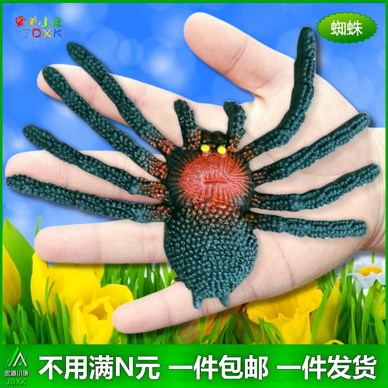 软胶仿真蜘蛛套装大号黑色吓人幼儿园儿童认知玩具昆虫假动物模型