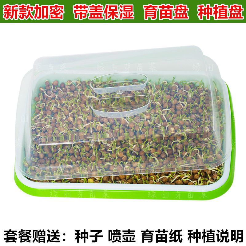 芽苗菜育苗盘阳台种菜专用盆水培蔬菜豆芽托盘蒜苗豌豆小麦种植盘