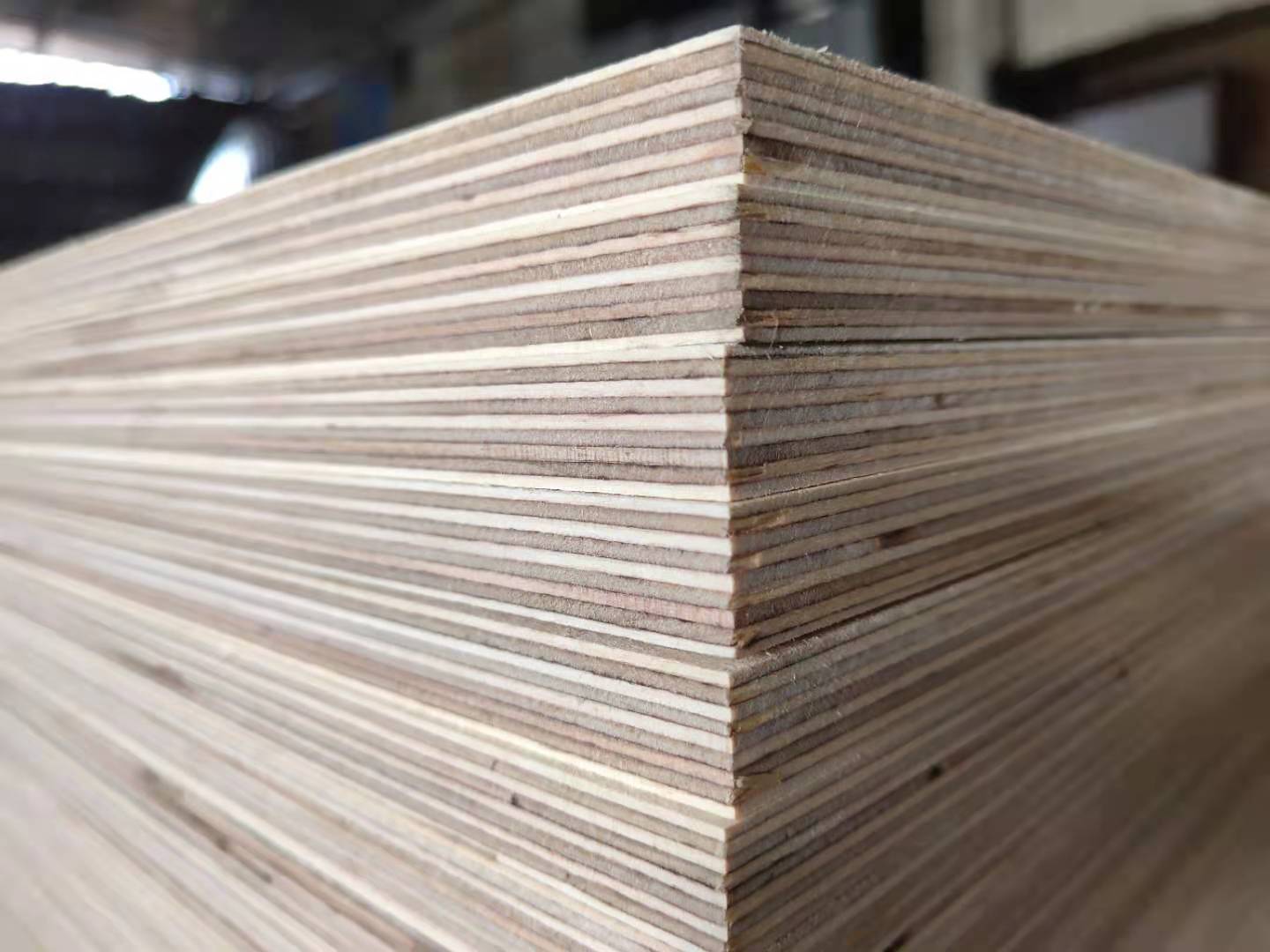 全桦木 地板基材 俄罗斯全桦木胶合板 多层板sveza