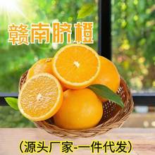 赣南脐橙新鲜水果批发应季水果橙子批发送人当季水果5斤10斤礼盒
