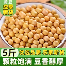 新货大豆黄豆5斤土黄豆红豆黑豆打豆浆专用五谷发豆芽煲汤2500g