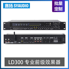 LD300 专业前级效果器带蓝牙USB光纤家用会议k歌带频谱均衡器话筒