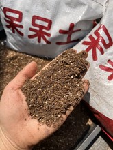 多肉植物专用四季状态控养配比土 切糕小苗专用土