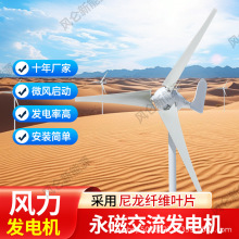 厂家直发小型风力发电机200W12V24V风光互补太阳能路灯工程新能源
