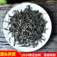 2024景迈生茶百年古树茶春茶普洱茶生普散茶香甜有韵味普洱生茶