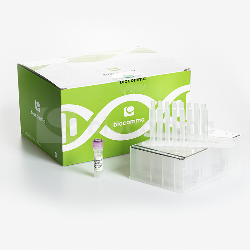 逗邦 预分装磁珠法 32prep 病毒dna/rna提取试剂盒