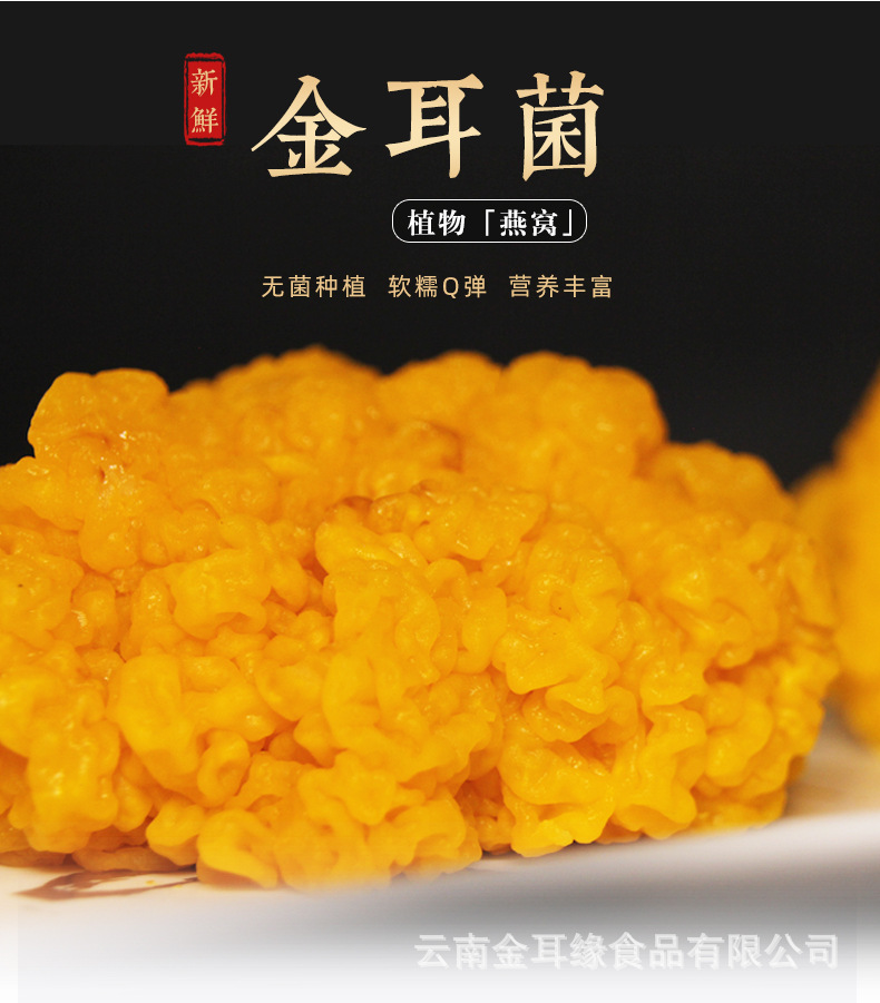 云南新鲜金耳菌 特产食用菌鲜货煲汤食材 厂家大量现货批发