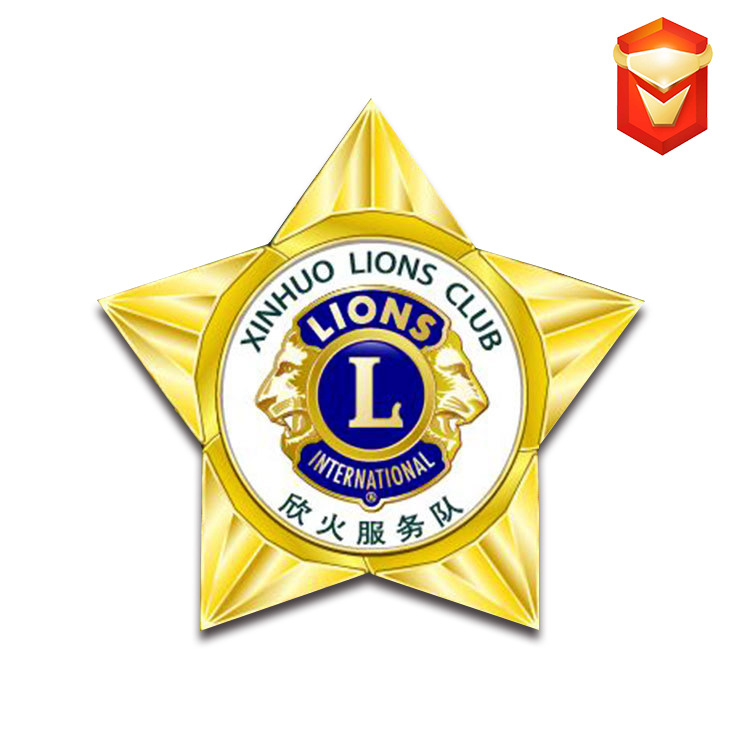 徽章定制logo金属公司员工胸章浮雕珐琅电镀锌合金五角星烤漆校徽