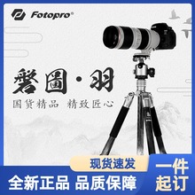 磐图羽TT-5高端碳纤维三脚架单反微单相机通用风光摄影摄像支架
