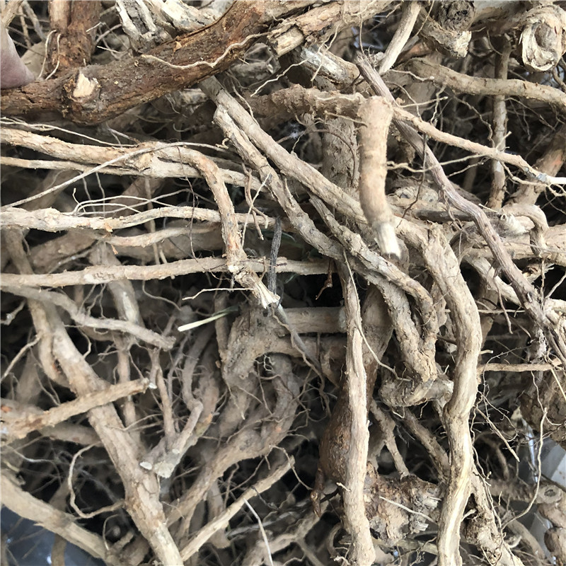 新鲜枸杞根地骨皮枸杞子树根老根枸杞头根材干品500g包邮-阿里巴巴