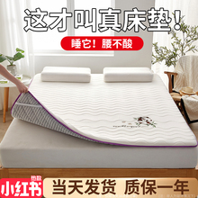JX55大豆乳胶床垫软垫家用卧室加厚床褥垫子租房1米58榻榻米