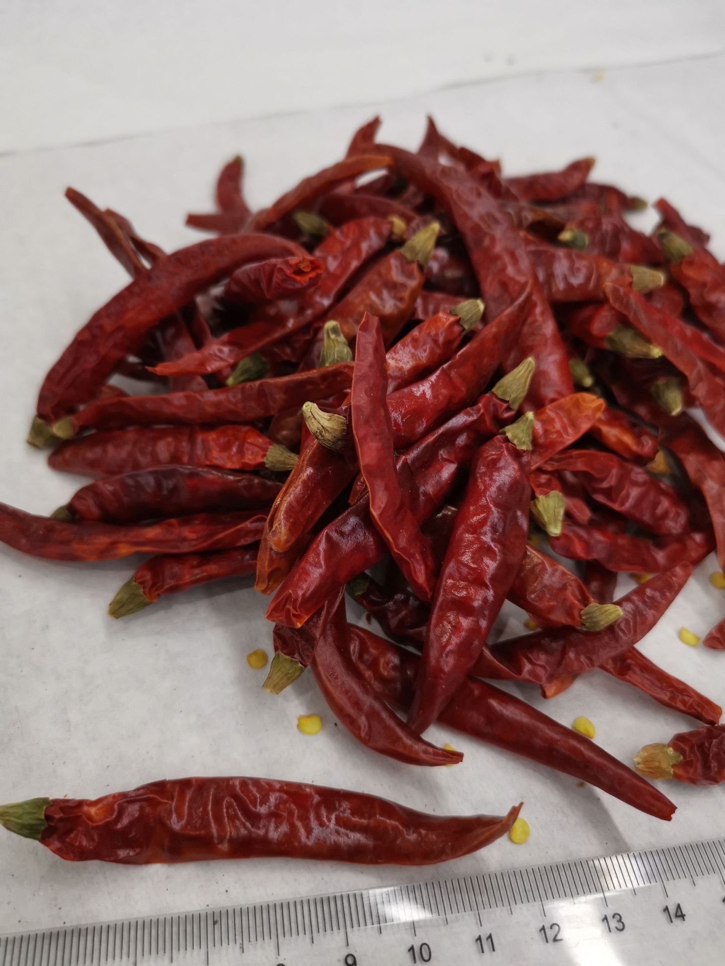 变态辣印度s17辣椒干货500g超小米辣干辣椒特辣中粗红辣椒魔鬼辣