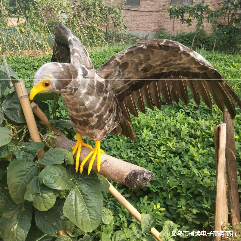 户外仿真猫头鹰模型驱鸟假老鹰反光多肉防鸟神器专用果园小鸟逼真