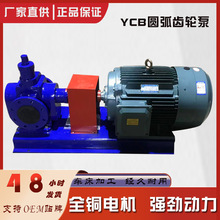 圆弧齿轮泵 泡沫输送泵微型涂料泵YCB圆弧泵 聚氨脂圆弧齿轮泵