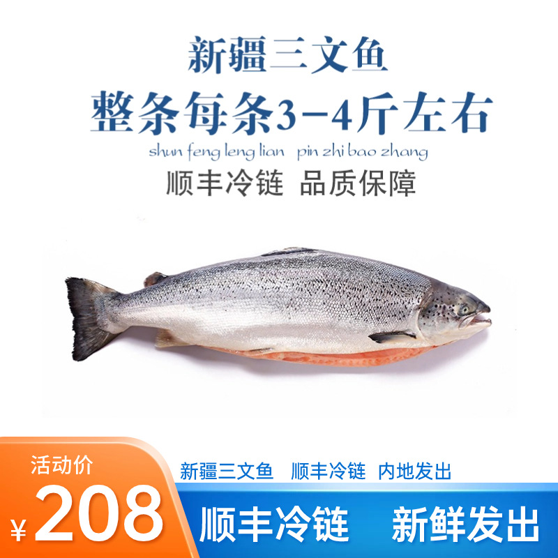 新疆三文鱼天蕴虹鳟刺身整条新疆海鲜生片寿司料理品【顺丰冷链】