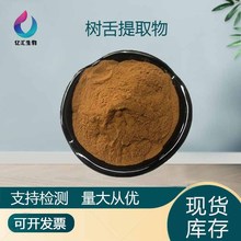 树舌提取物10:1树舌粉 树舌灵芝提取物 水溶性 树舌多糖现货供应