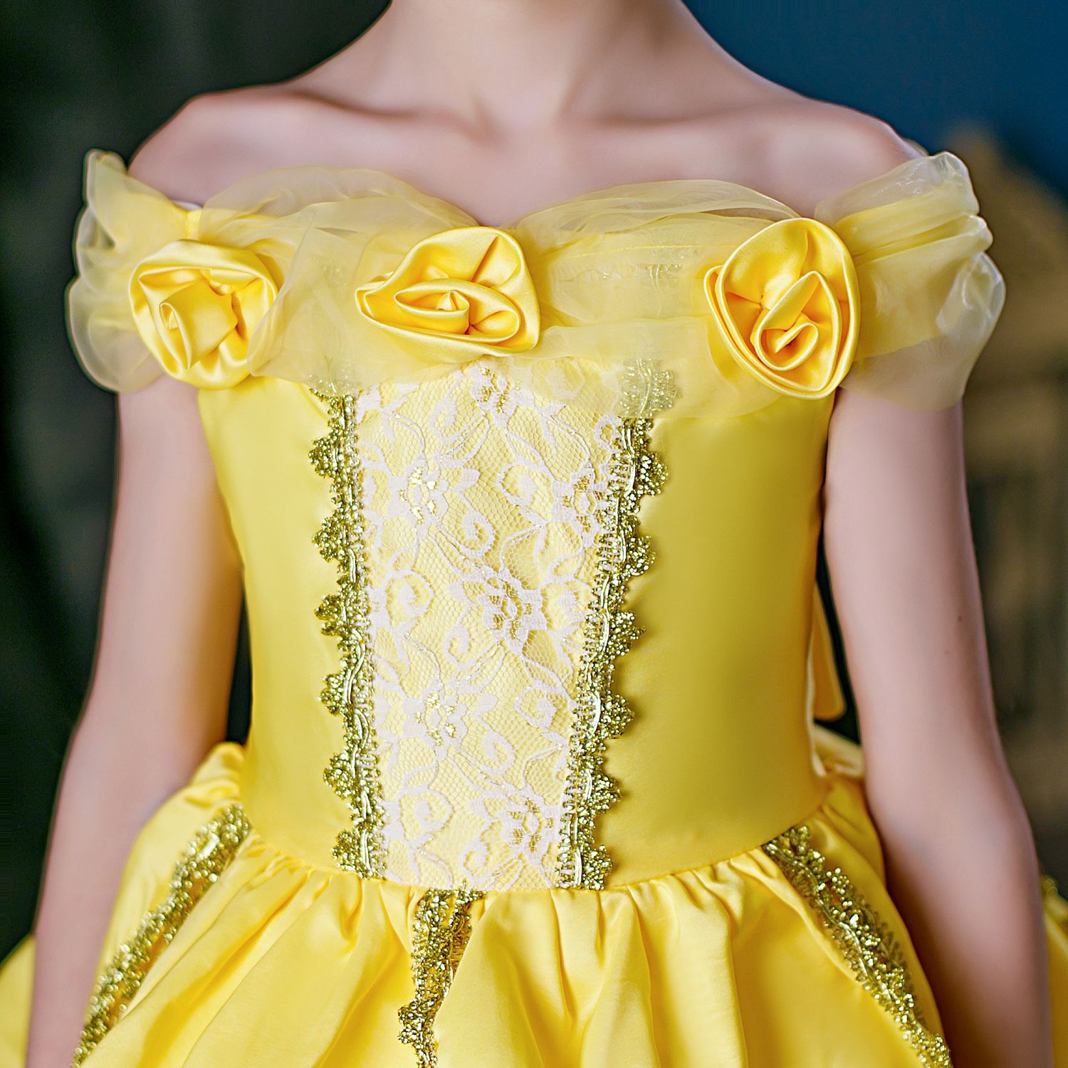 贝儿公主裙女童生日礼服圣诞节儿童服装演出服衣服连衣裙贝尔裙子