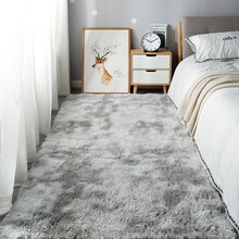 地毯卧室床边毯ins客厅茶几毯房间坐垫毛绒网红毛毯地垫家用阳台