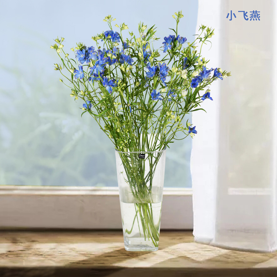 【小飞燕千鸟飞燕 大飞燕】 鲜切花 昆明基地新鲜批发 居家婚庆