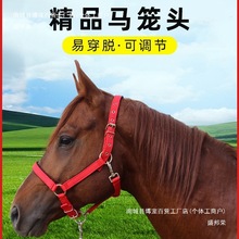 马笼头绳子马术用品马笼套大小矮马龙头马具型头套配件全套板
