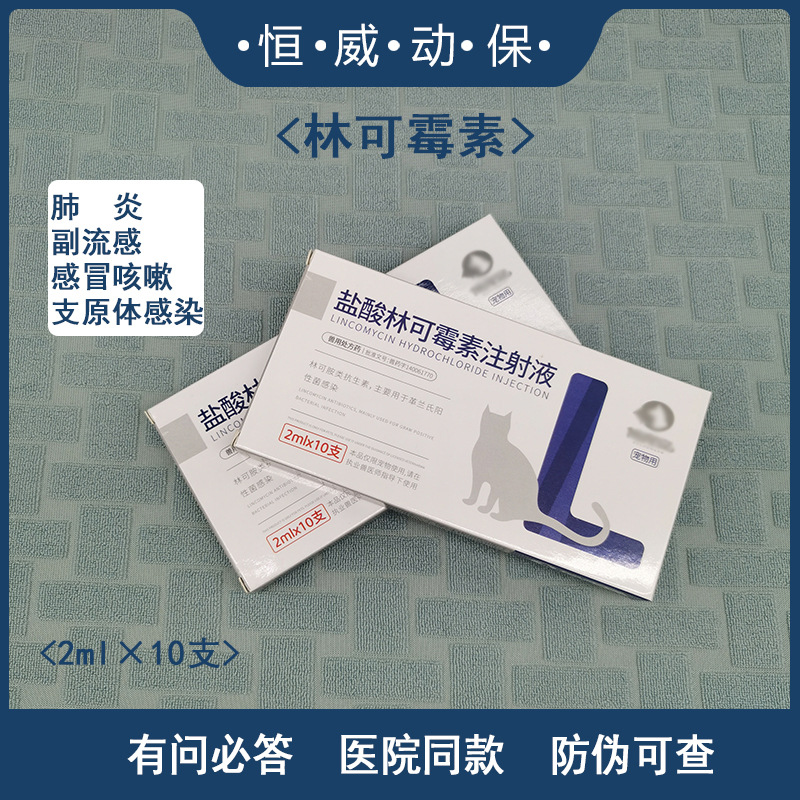 林可霉素注射液宠物犬猫肺炎呼吸道感染支原体感染猫鼻支可雾化