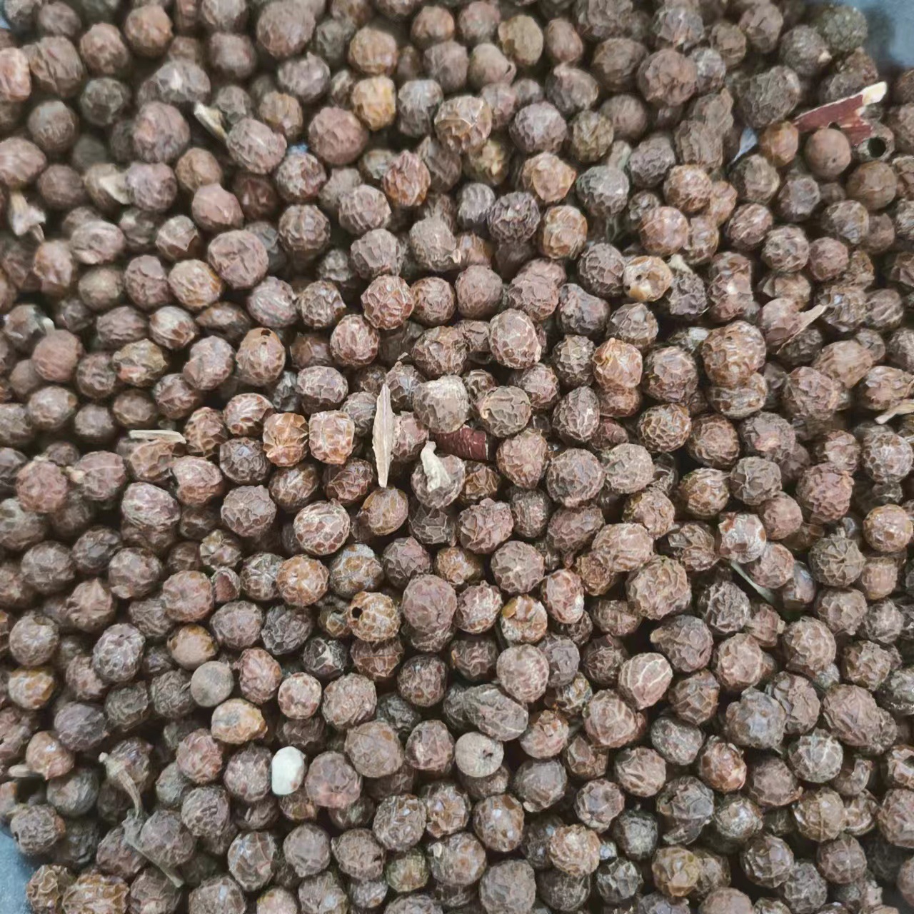 梧桐籽 梧桐子 中药材批发 正品梧桐子 瓢儿果 1000g克-阿里巴巴