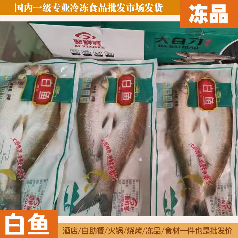 新鲜冷冻开背大白鱼三去免杀免洗大白刁生鲜海鲜水产批发商用整件