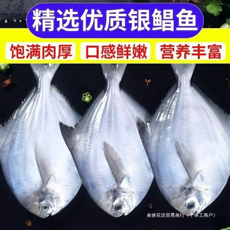 银鲳鱼大号深海冷冻新鲜鲜活海鲜深海速冻平鱼昌鱼水产青3斤5