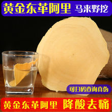 黄东革阿里原片根黄茶泡酒药粉东哥啊里片