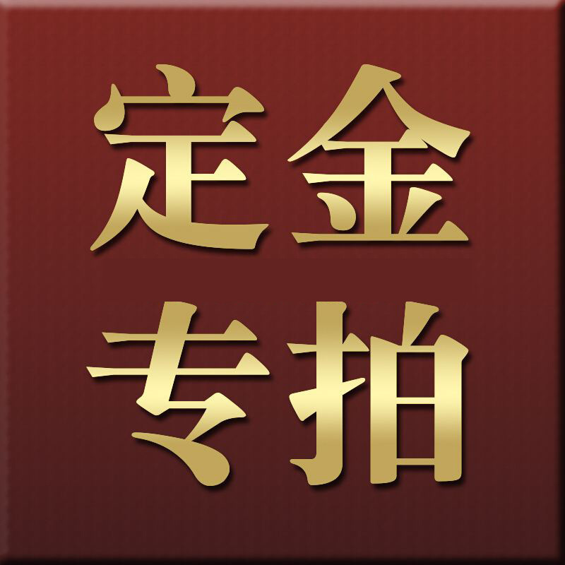 定金专拍shocklog248震动监测记录仪10g40hz定金