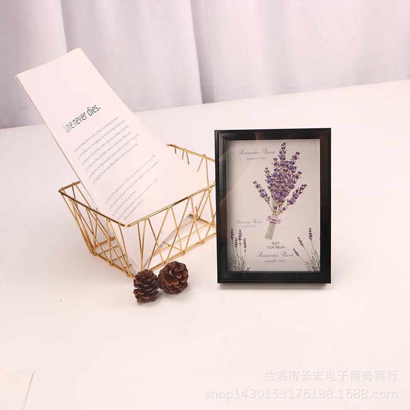 Plastic Hollow Photo Frame Diy Hollow 1.8cm Dried Flower Art Table-Top Picture Frame Wholesale Mounting Frame Spot