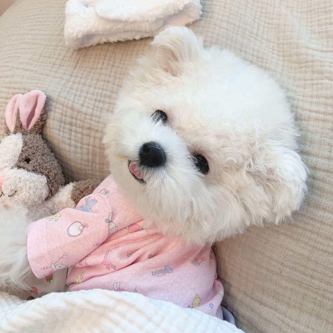 ins新款韩国可爱动物园幼儿装背心纯棉狗狗家居服 宠物空调服