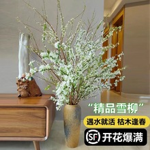 雪柳鲜枝干支水培植物室内客厅花卉盆栽四季水养遇水开花吊钟绿植