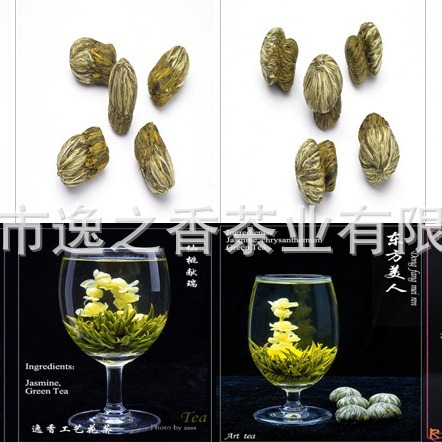 新茶 欧标工艺花茶 工艺茶 开花茶 珠茶 茉莉仙子