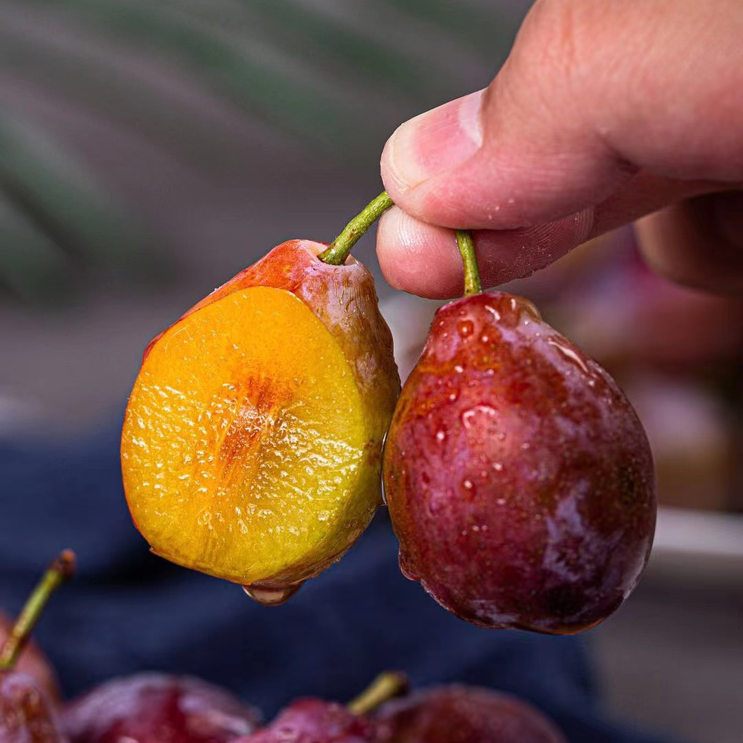 【顺丰为主】女神果 西梅李子 孕妇宝宝 新鲜水果 4斤一件代发