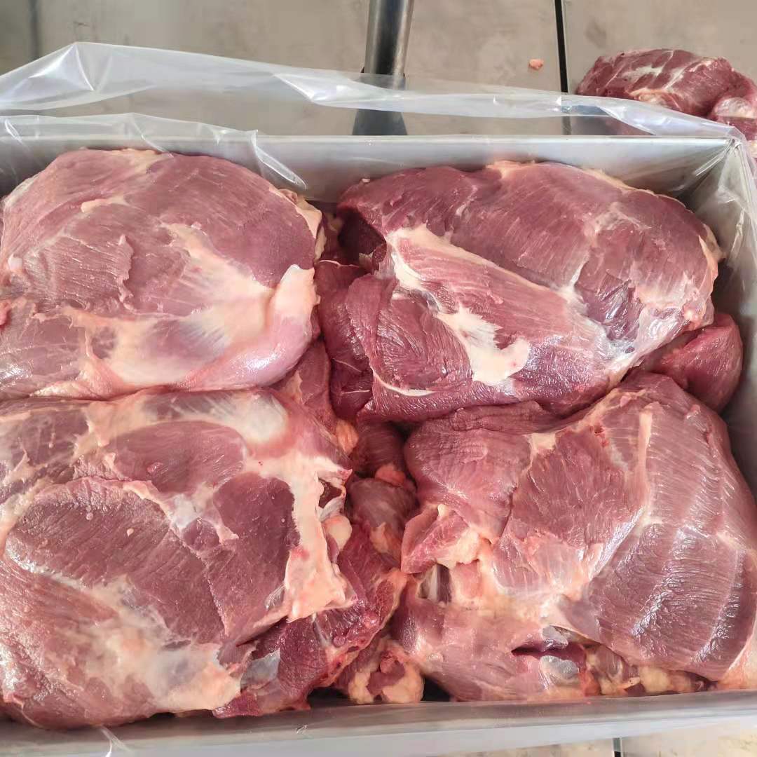 厂家批发冻猪二号肉 四号肉 前后腿肌肉 2号肉 4号肉 精肉批发