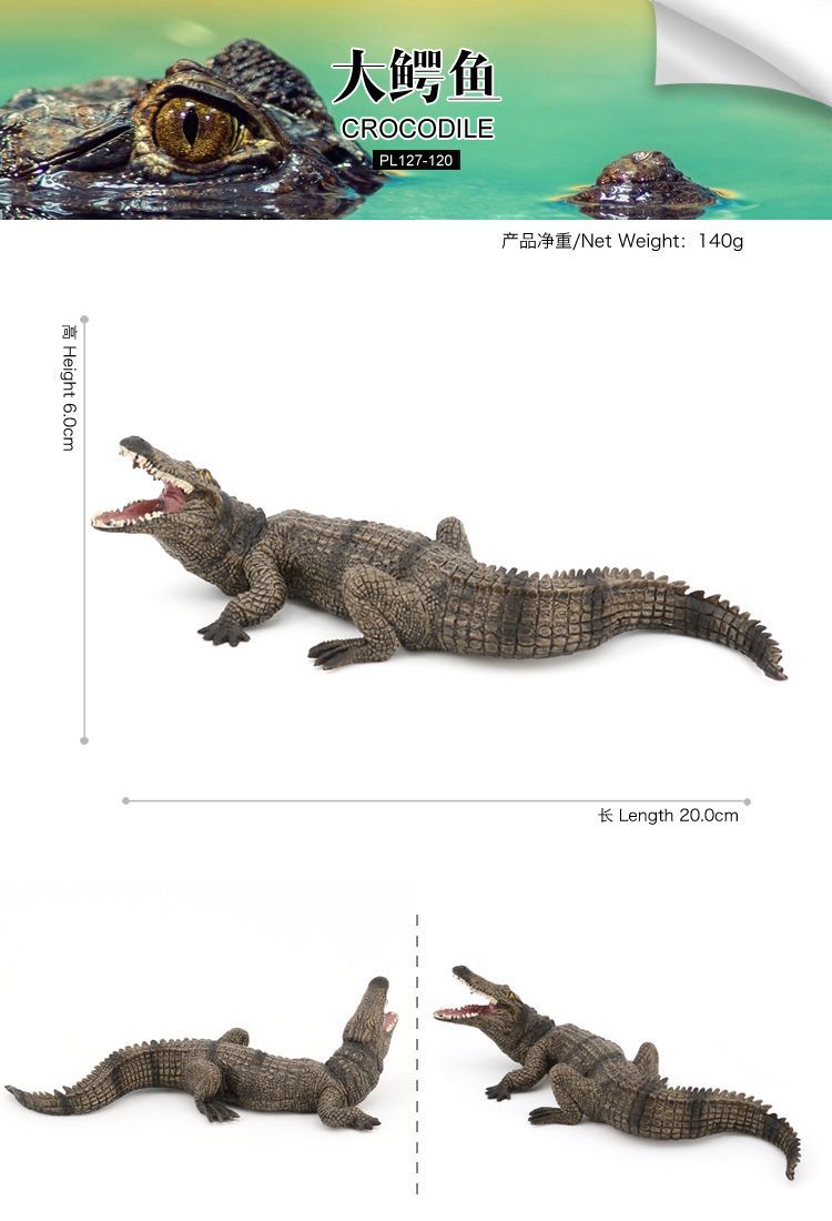 儿童仿真模型两栖动物鳄鱼玩具尼罗鳄野猪鳄扬子鳄野生动物模型