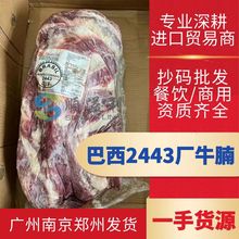2443巴西牛腩 瘦而不柴粤式泰式韩式料理  冷冻牛肉牛排正关进口