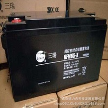 三瑞蓄电池6FM65-X 阀控密封式铅酸电池12V65AH 机房UPS/EPS用