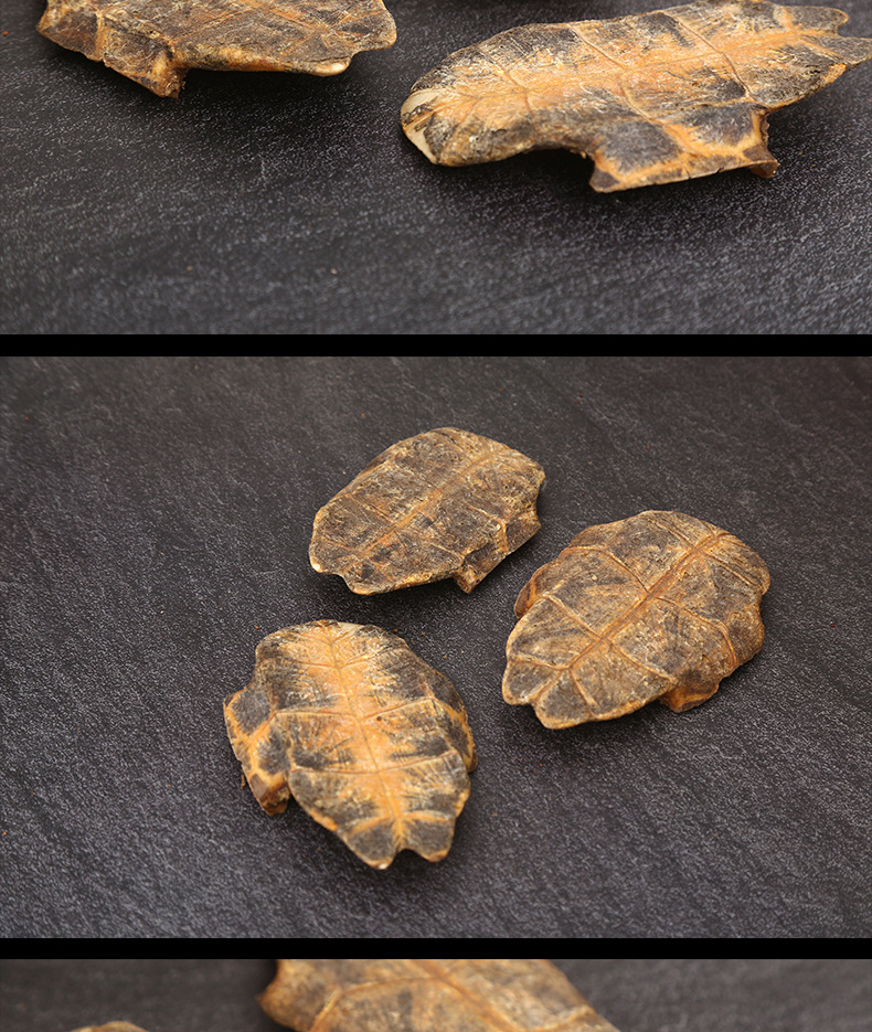 现货供应中药材制龟板 醋龟板龟甲龟板片 可磨粉中药材炙龟板