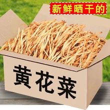 黄花菜干货500g农家福建非野生新鲜无硫黄花菜金针菜新货干黄花菜