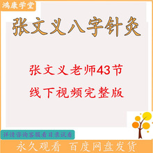 疗法通经络张八字文义视频针灸文档中医集课程学习培训基础理论44