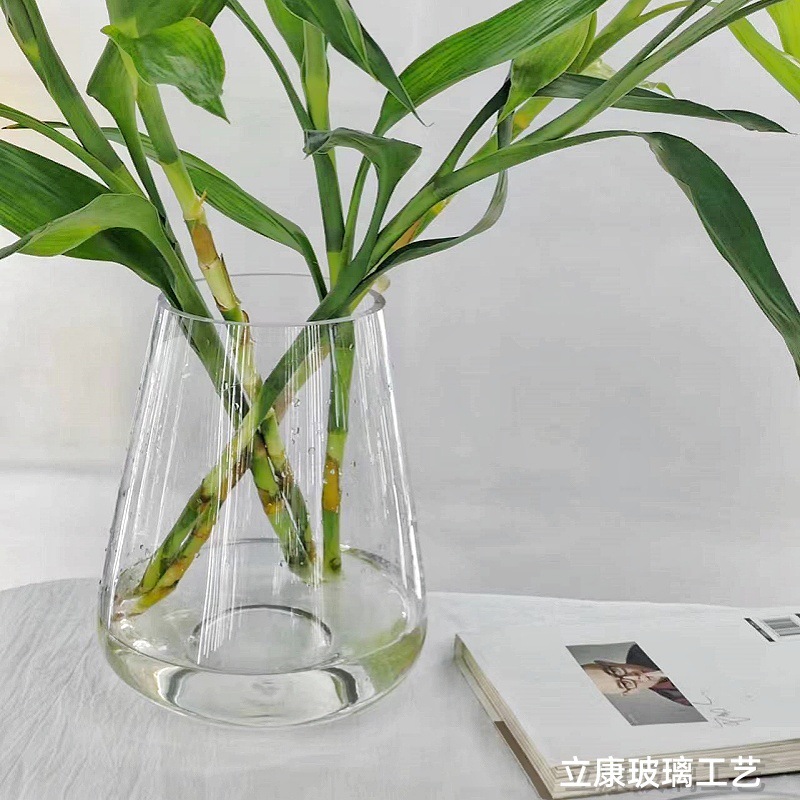 Factory Wholesale Transparent Glass Vase Desktop Flower Arrangement Home Decoration Decoration Aquatic Flowers Creative Simple Flower Device