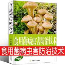 正版食用菌病虫害防治手册中国植保病虫害图谱与防治大全羊肚菌种