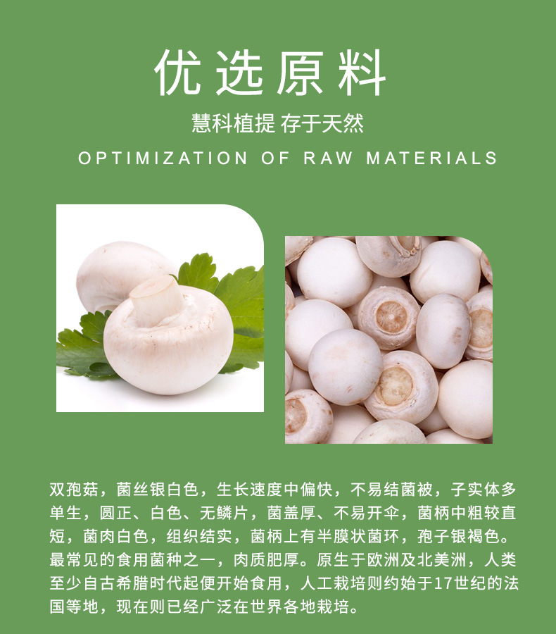 双孢菇粉 双孢菇提取物 口蘑粉 陕西慧科