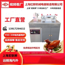 上海红（宏）联厂家直销 电热燃气爆烤鸭炉炸鸡炉压力炸锅YXD-30