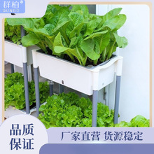 室内蔬菜种植盆多层组合种菜立体自吸水盆家庭阳台长方形塑料绿植