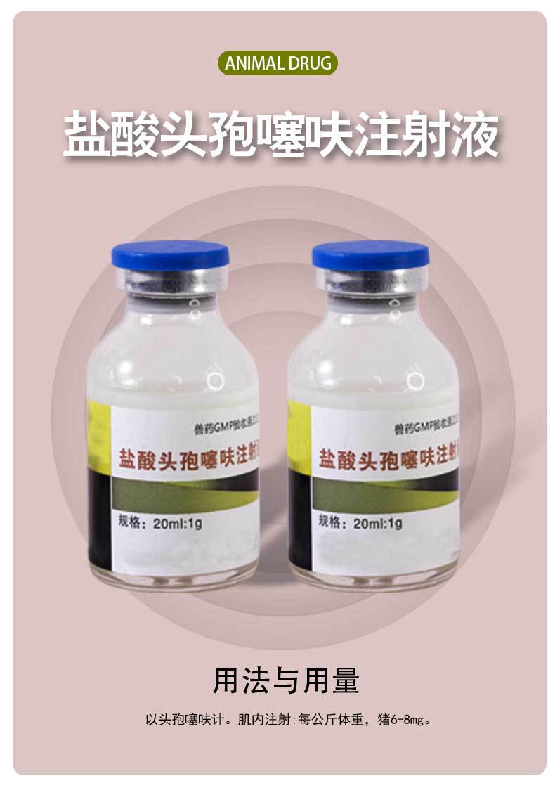 兽用兽药盐酸头孢噻呋注射液母猪保健副猪呼吸道疾病胸膜感染